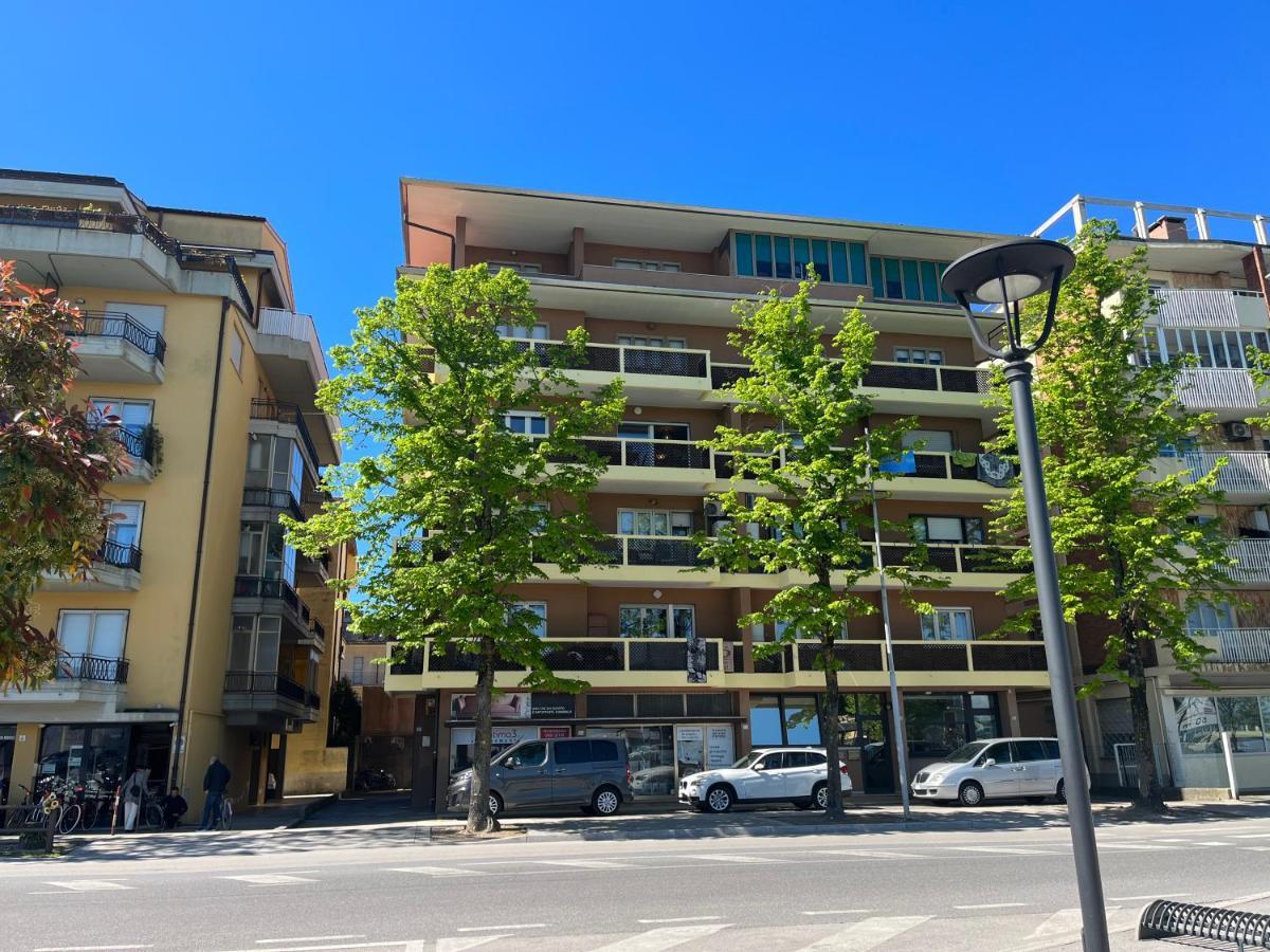 Scaramuzza 7 Grado